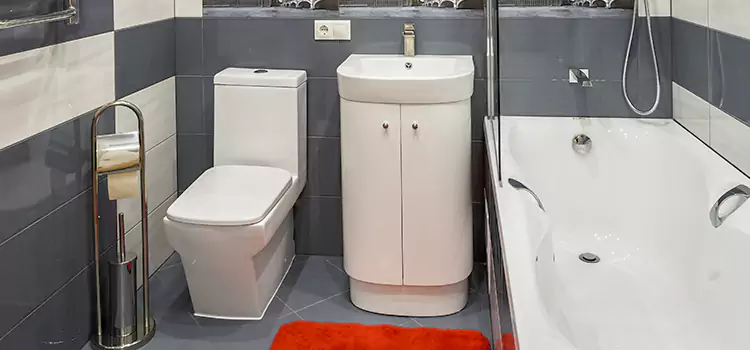 Hansgrohe Shaving Mirror Dothan